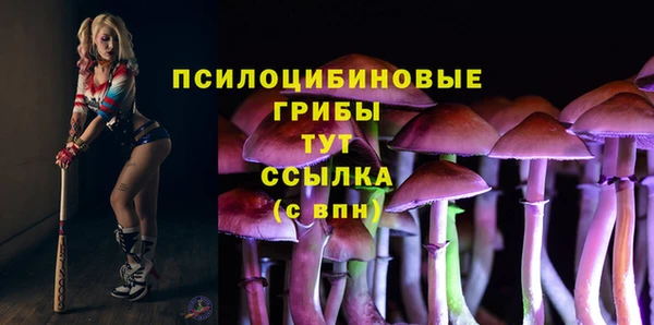 герыч Алексин