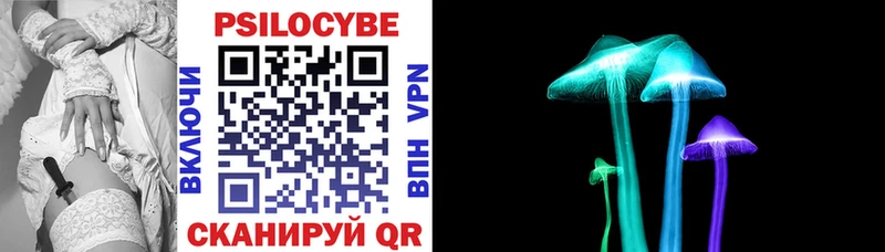 Галлюциногенные грибы Psilocybine cubensis Спасск
